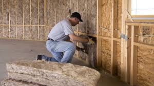 Best Eco-Friendly Insulation Solutions  in Eatons Neck, NY